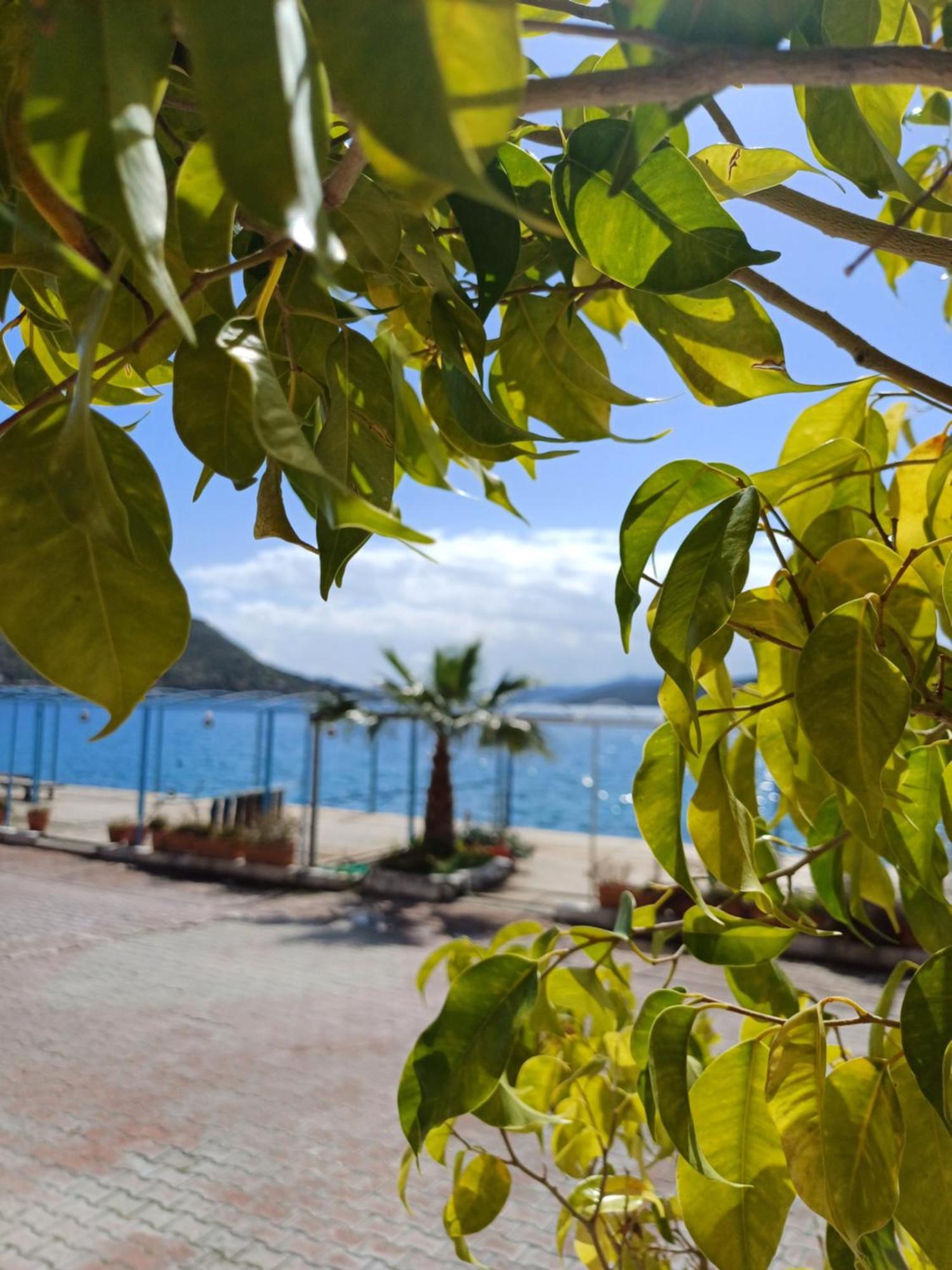 Yazici Otel Bozburun マルマリス エクステリア 写真